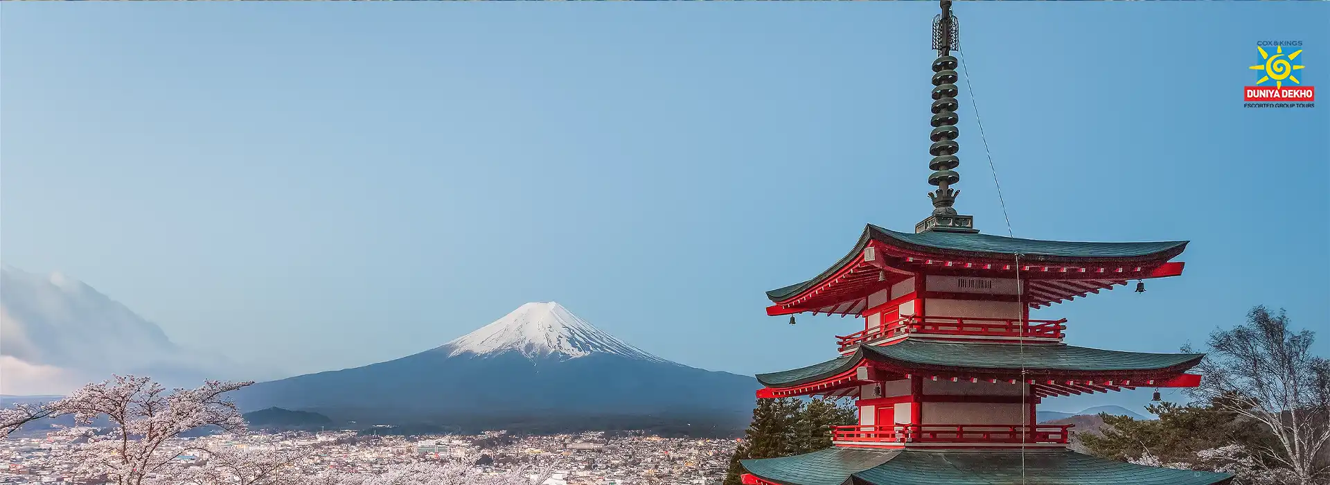 Duniya Dekho Essence of Japan Cherry Blossom