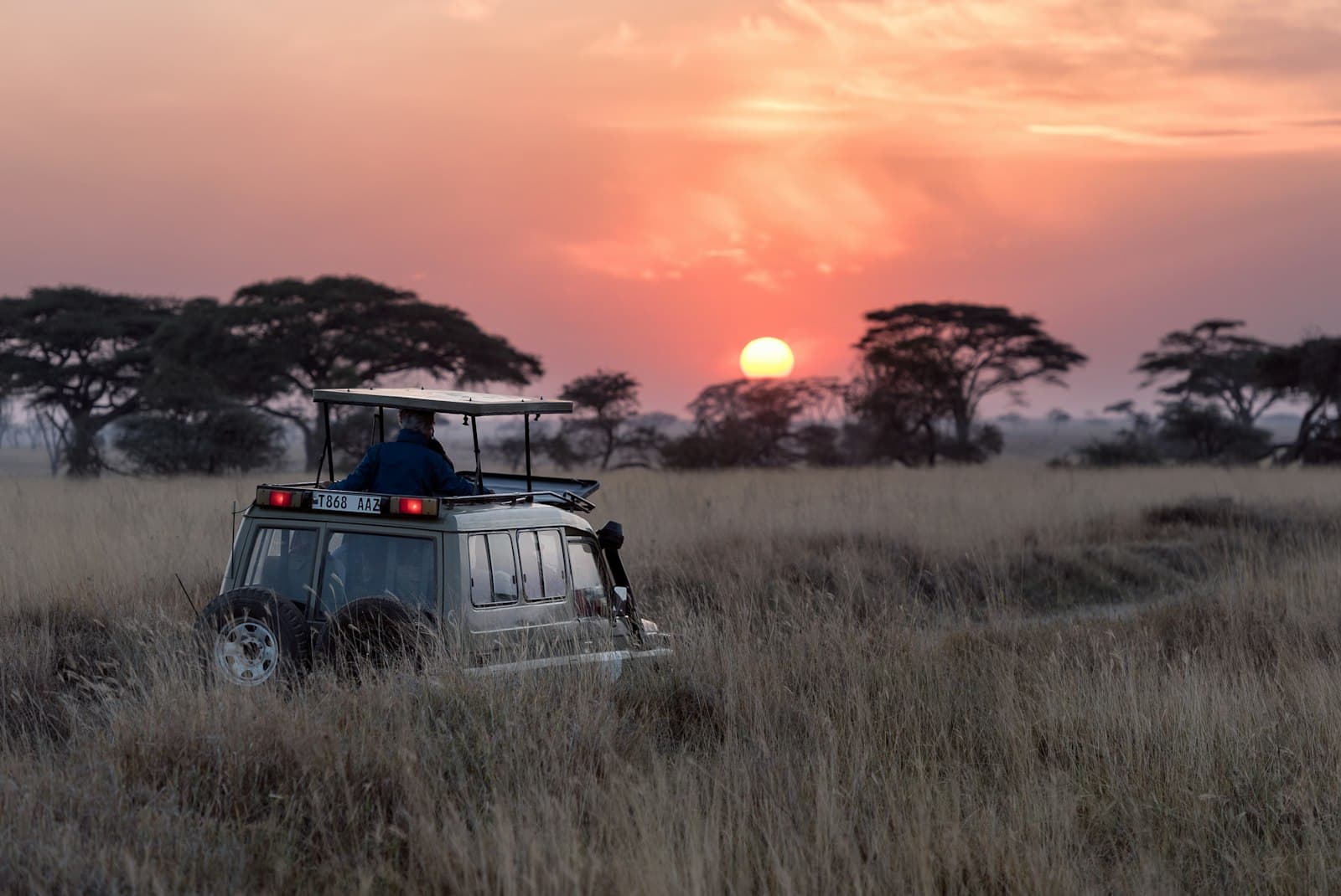 A safari vehicle crossing open grassland at sunset