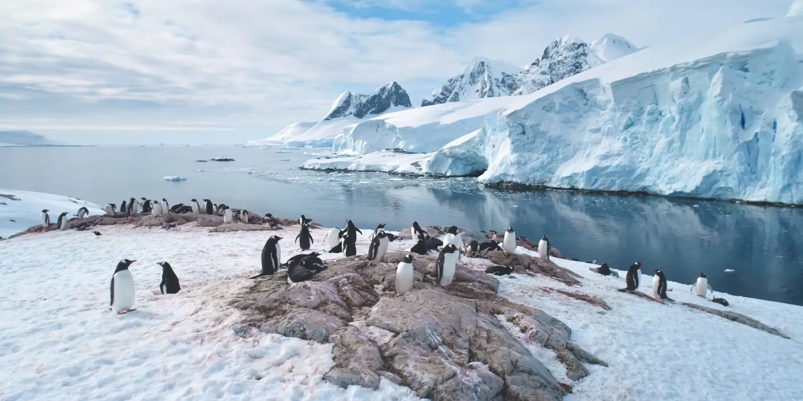 Questions everyone has about Antarctica!