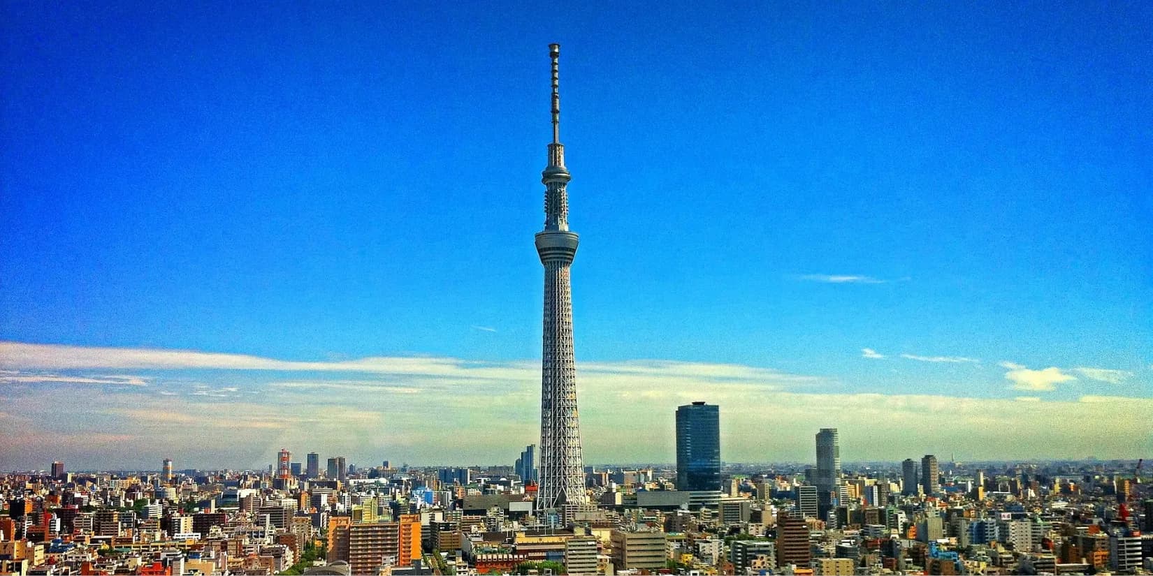 14 Things To Do in Japan That I Would LOVE to Do Again!