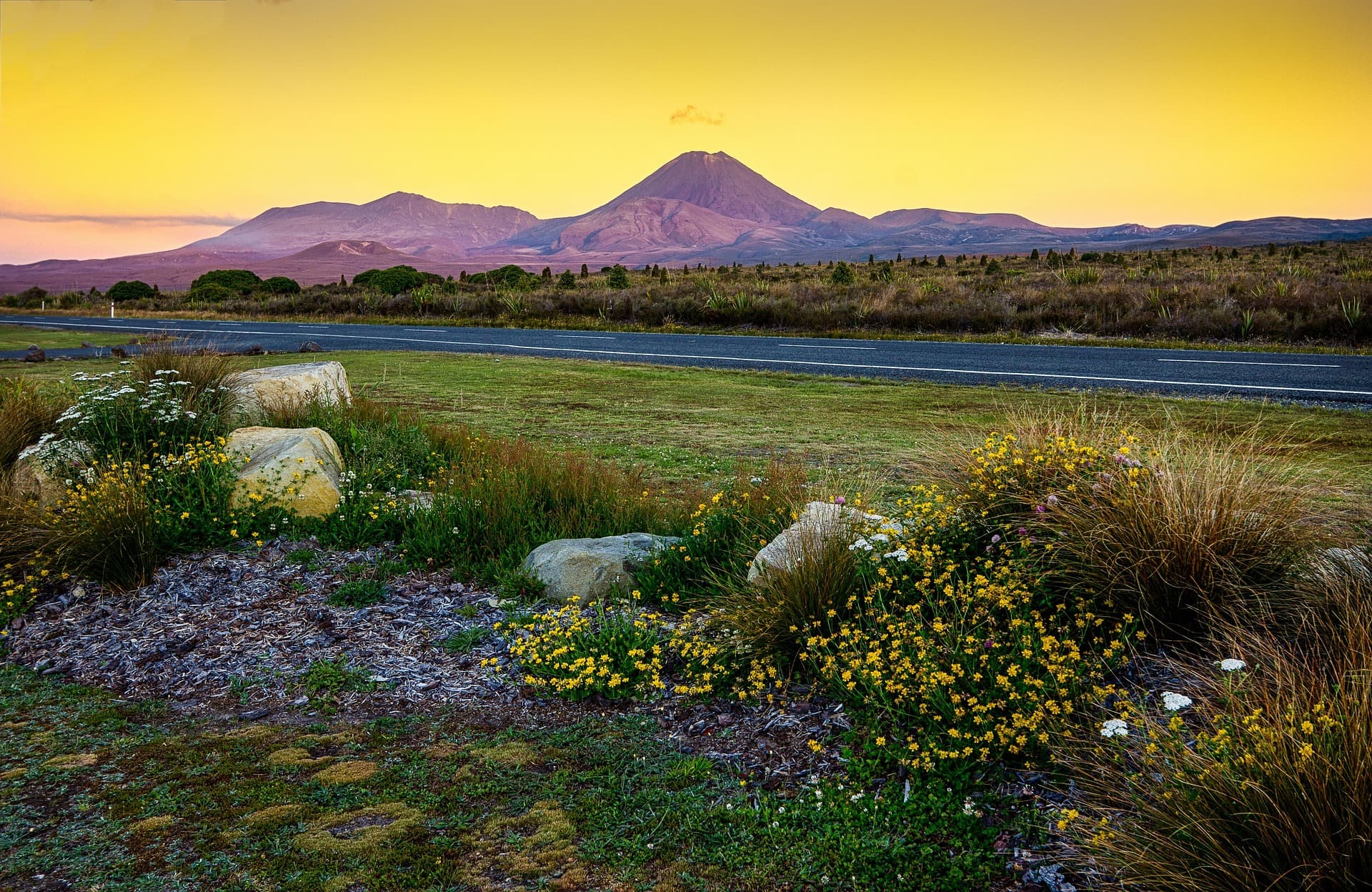 New Zealand
