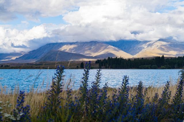 Rotorua
