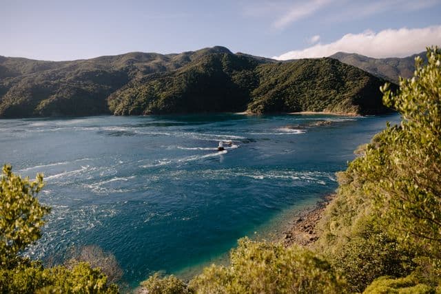 Wellington