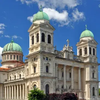 Flight to Christchurch & Antarctic Wonders