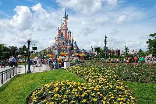 Highlight 5