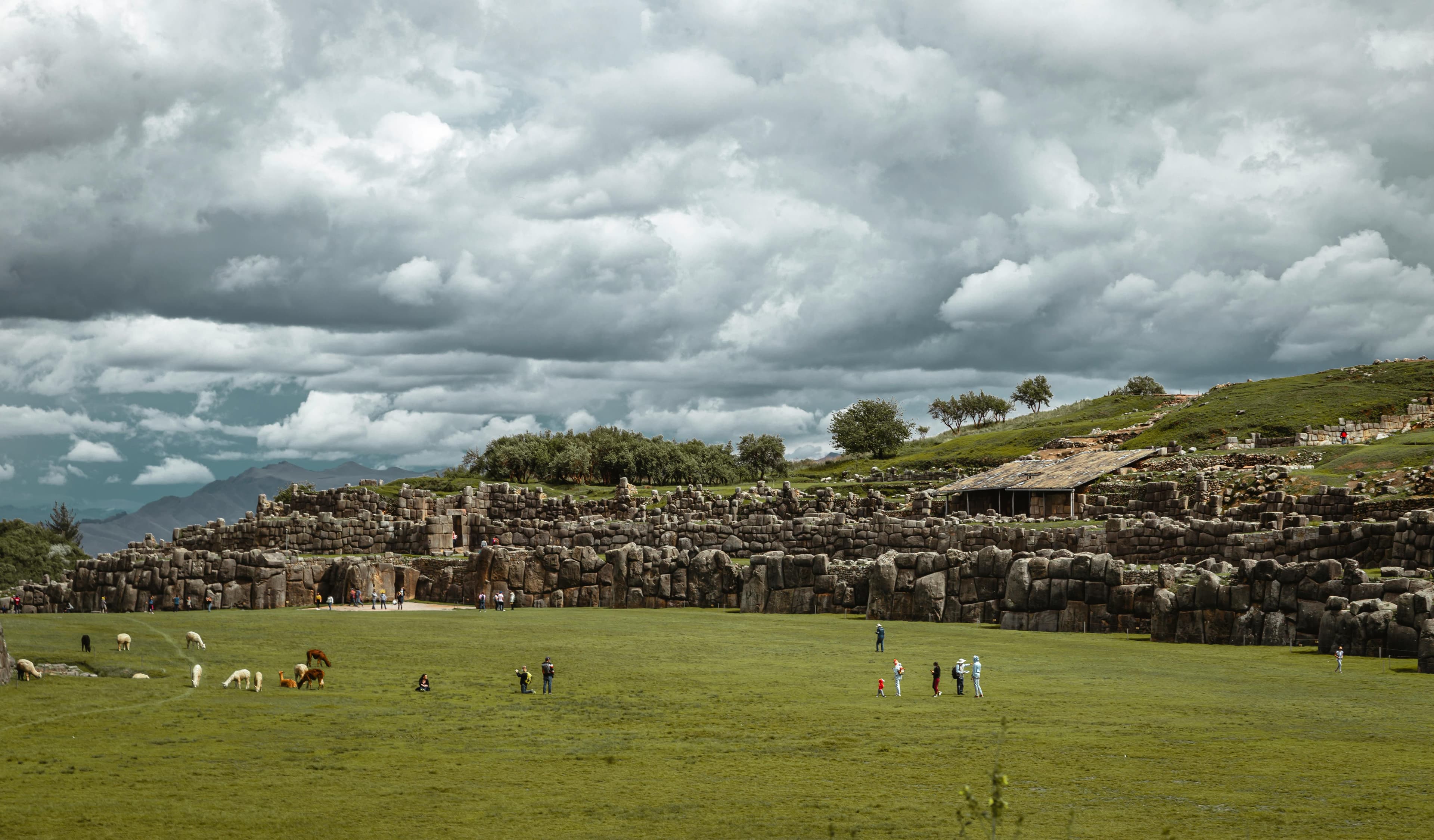 Machu Picchu Excursion