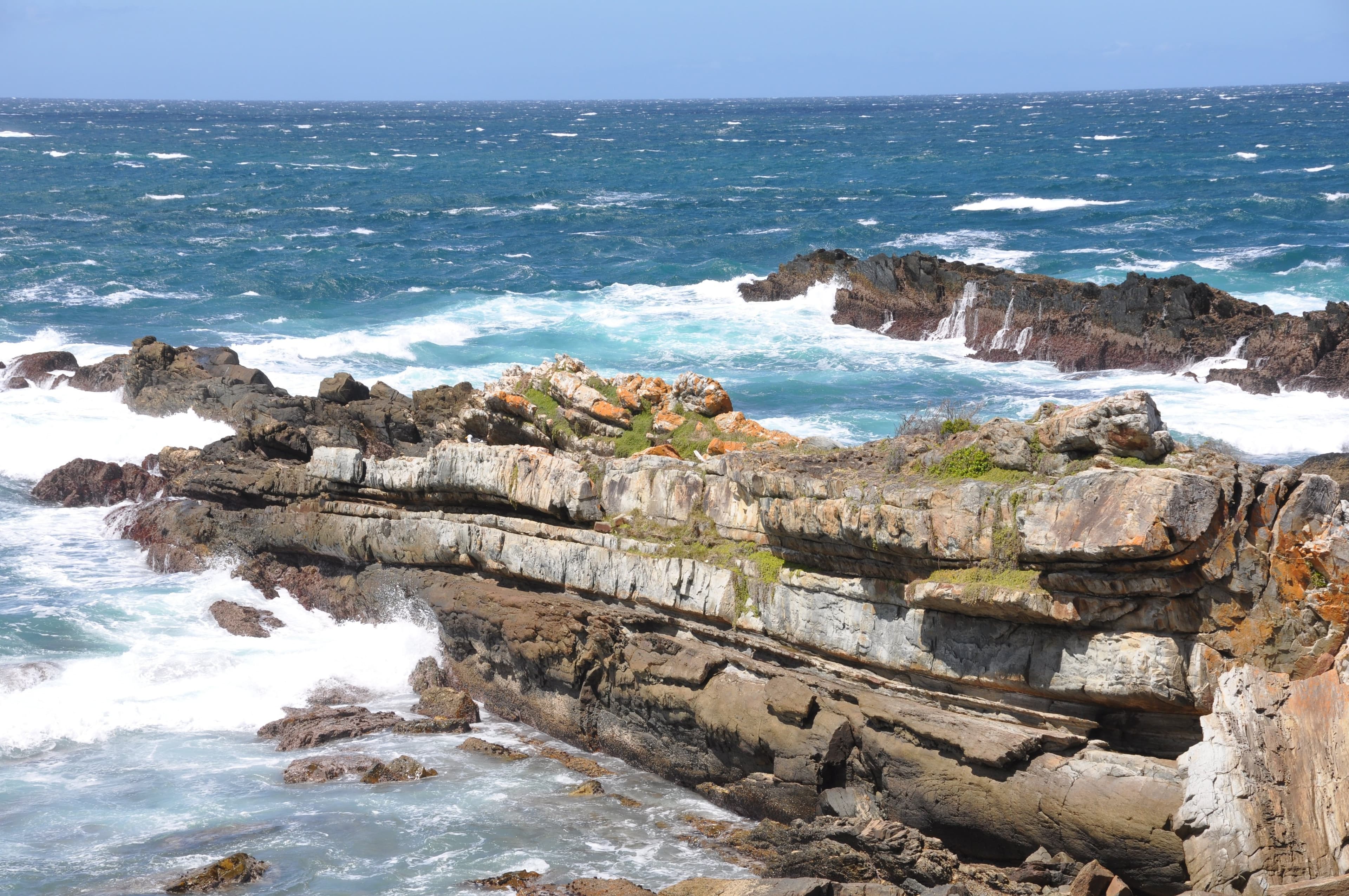 Garden Route Scenic Expedition