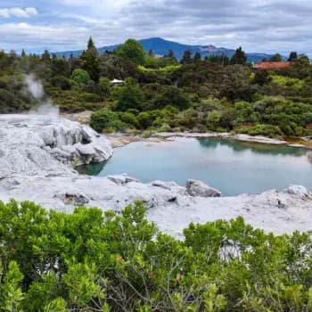 Auckland to Hobbiton & Rotorua