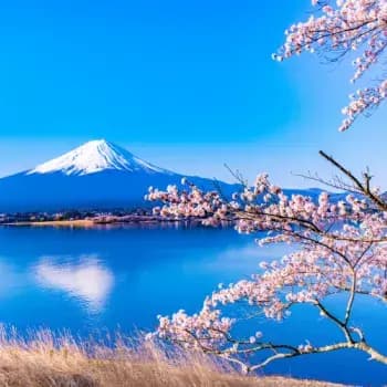Odawara, Mount Fuji Region & Kawaguchiko (Ryokan Stay)