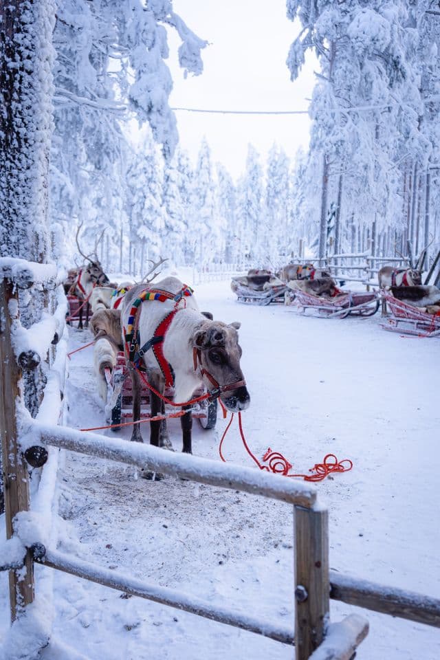Rovaniemi
