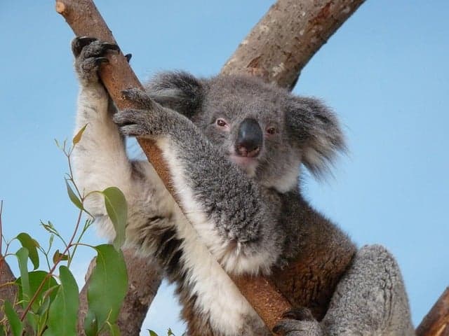 Melbourne to Gold Coast