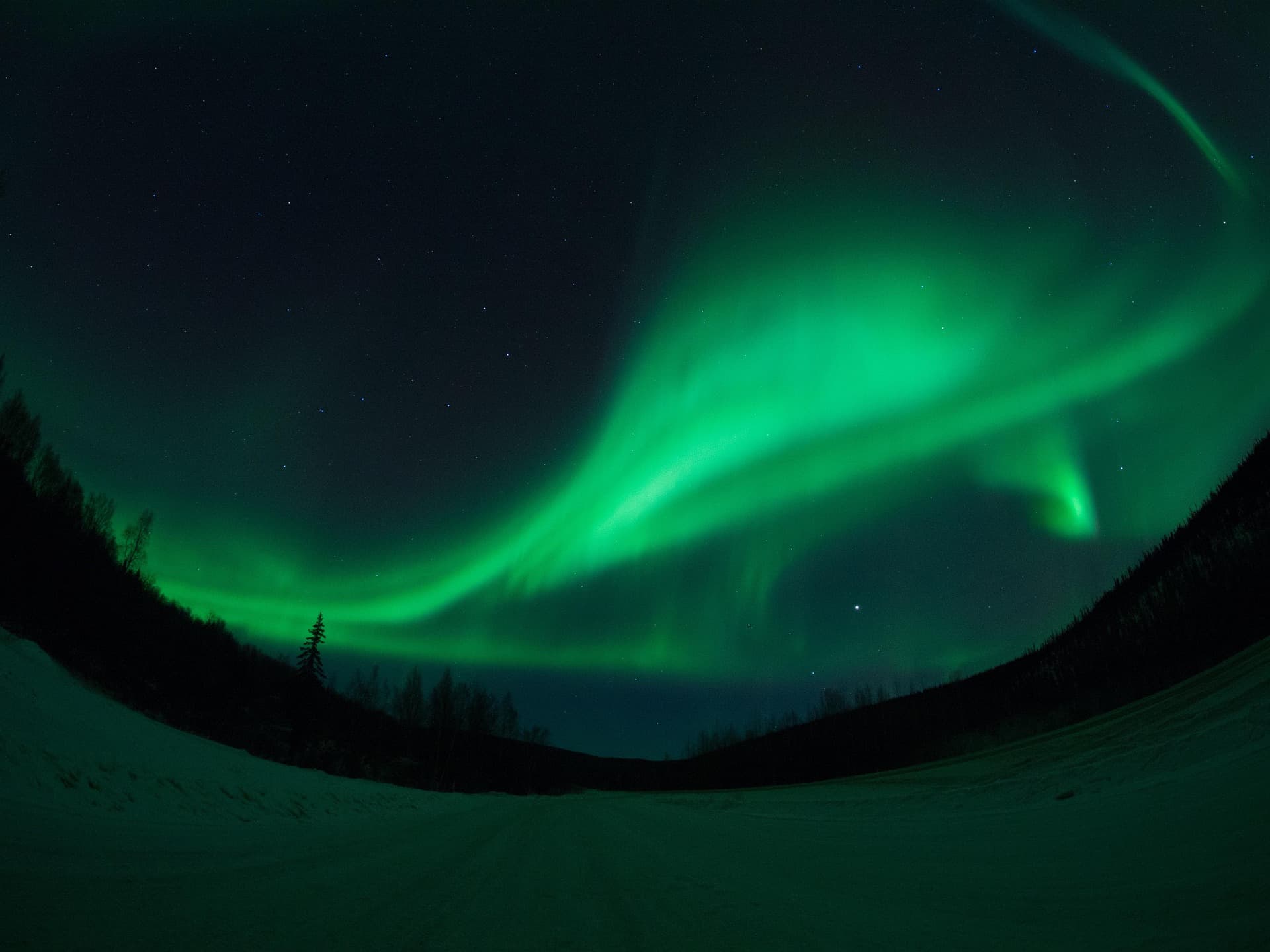 Denali National Park Experience (Optional)