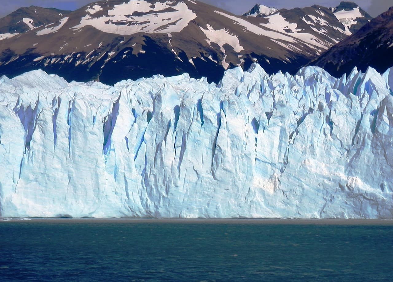 El calafate