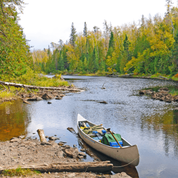 Stockholm to Mora: Nordic History & Countryside