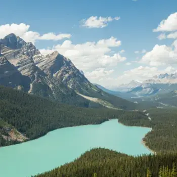 Banff National Park & Sulphur Mountain Gondola