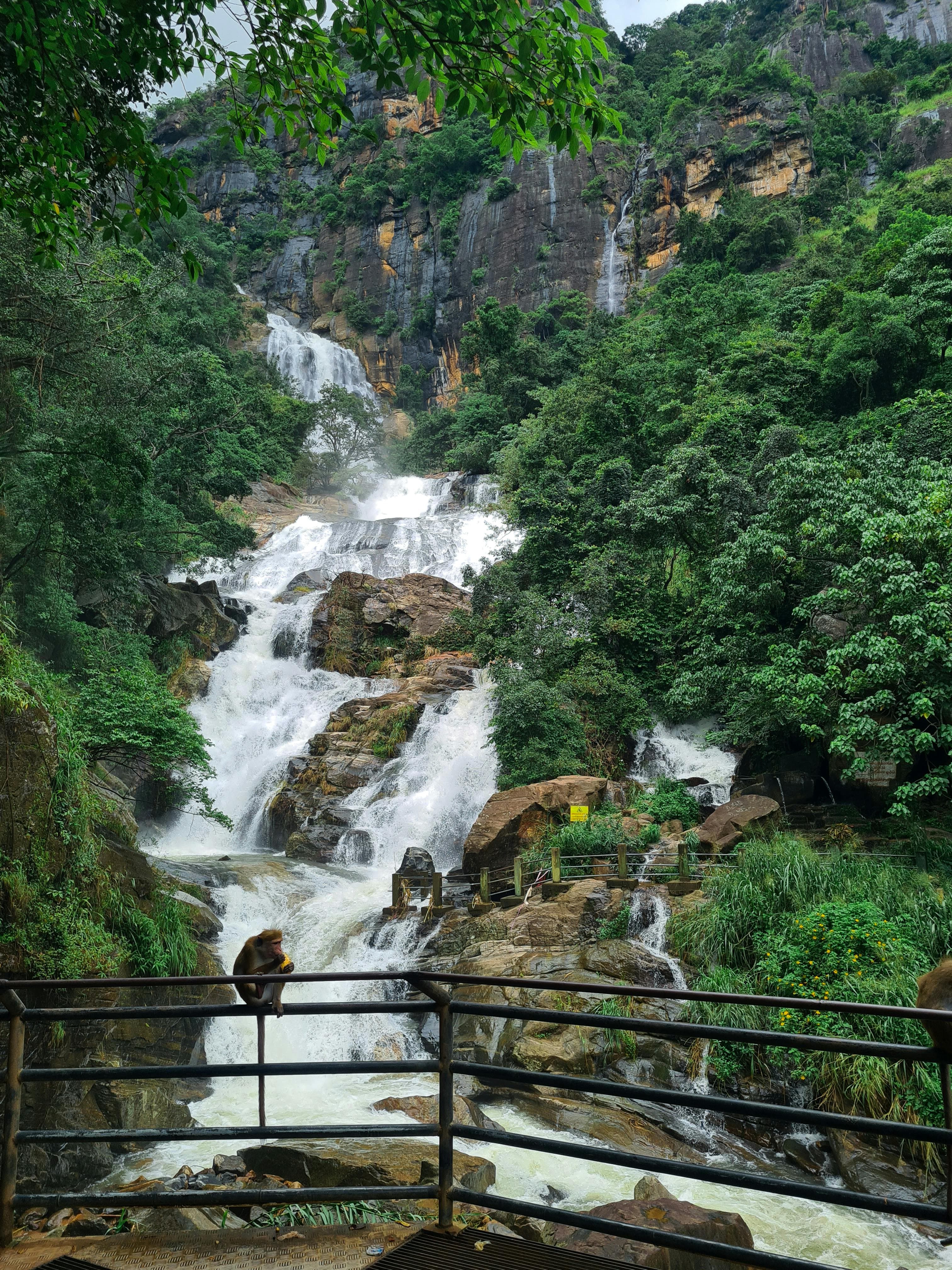 Scenic Transfer to Kandy & Cultural Highlights
