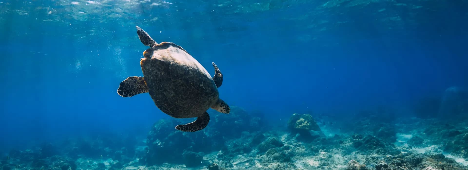 Beaches and Bliss Combined in Your Bali Journey