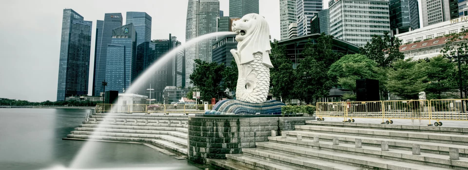 Singapore Sensation